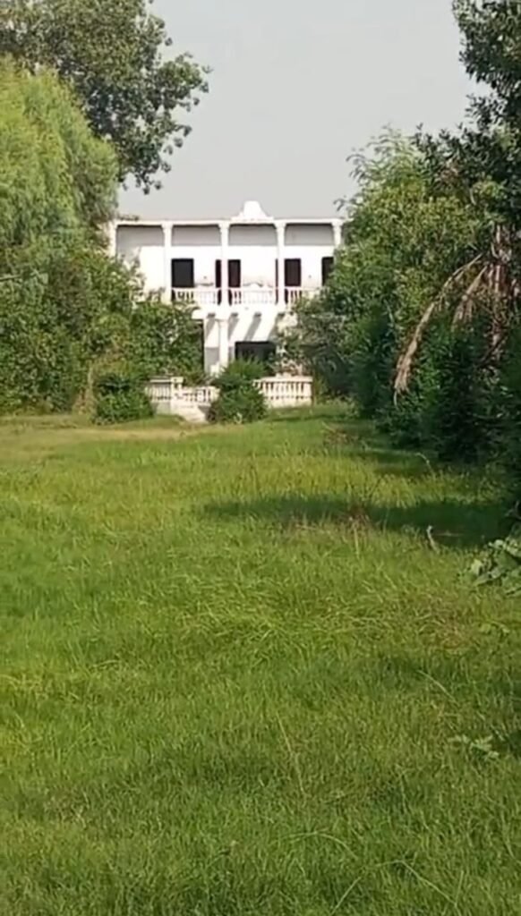 WhatsApp-Image-2025-07-13-at-6.14.13-PM-3