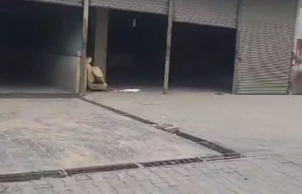 WhatsApp-Image-2025-07-13-at-6.57.56-PM-1