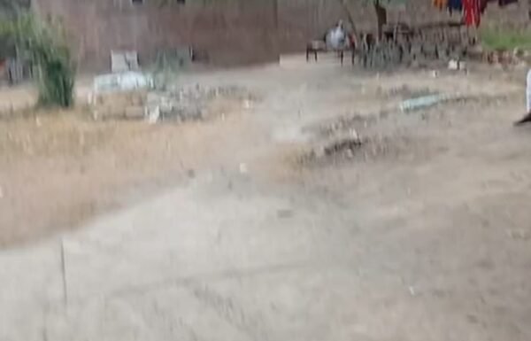 WhatsApp-Image-2025-07-13-at-7.16.13-PM-1