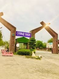 chinar bagh