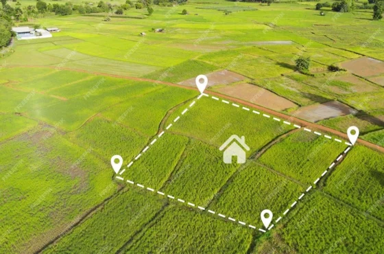 Park-Facing Plots: Are They Worth the Extra Price