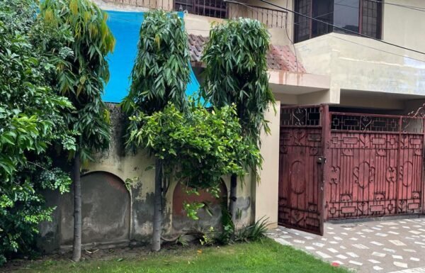 WhatsApp Image 2026-04-28 at 12.53.56