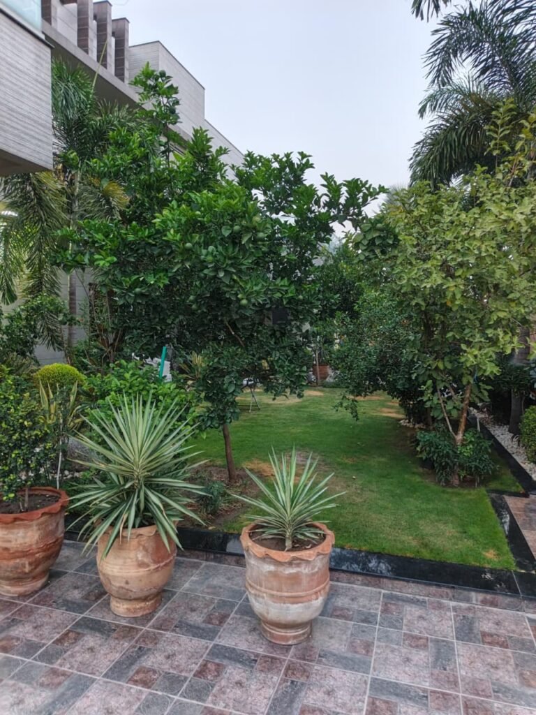 WhatsApp Image 2026-06-18 at 8.35.55 AM (1)