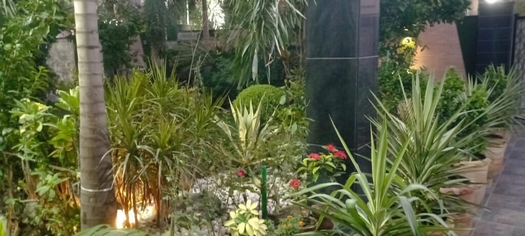 WhatsApp Image 2026-06-18 at 8.36.02 AM (2)